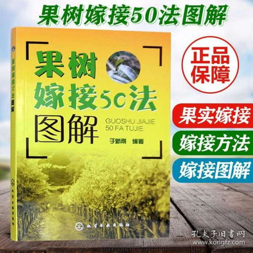 正版 果树嫁接50法图解 果树嫁接新技术教程书籍 砧木培育 接穗准备 嫁接时期 果树园林树木芽接扦插等苗木育苗培育种植栽培h10c